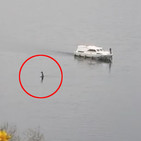 Met prog 19 nuevas fotos de nessie y el origen de america con lcc (8 25 18)