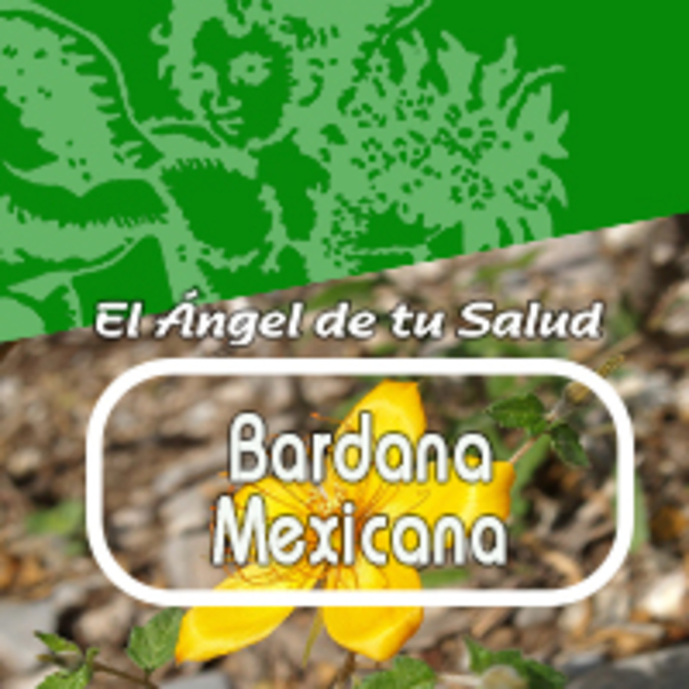 El Angel de tu Salud - BARDANA MEXICANA* episode artwork