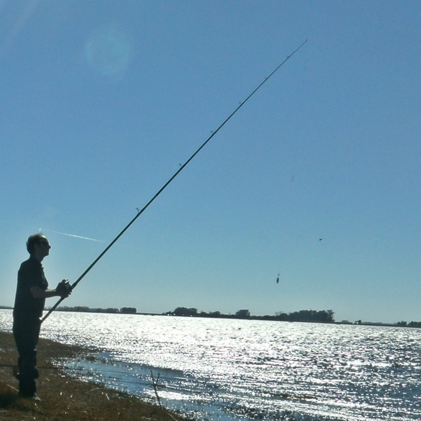 Planeta Pesca