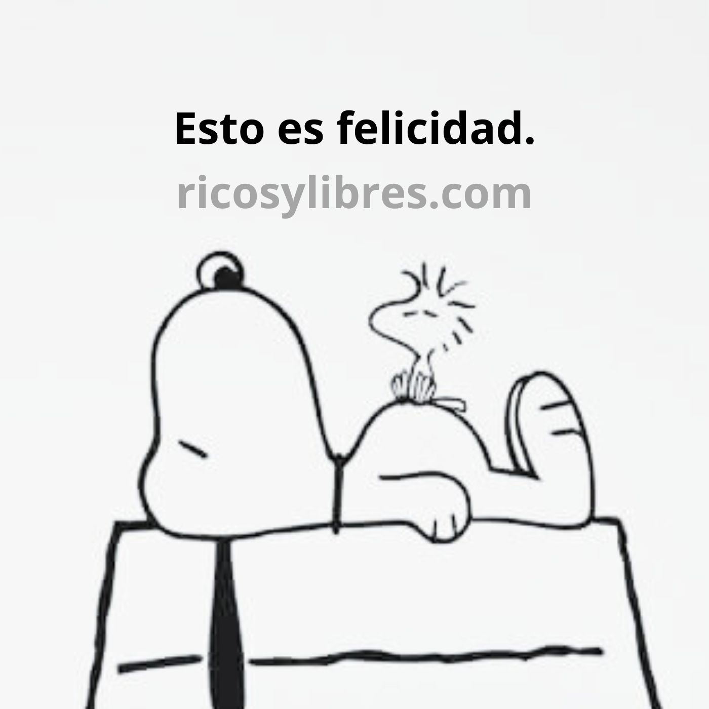 Ricosylibres.com