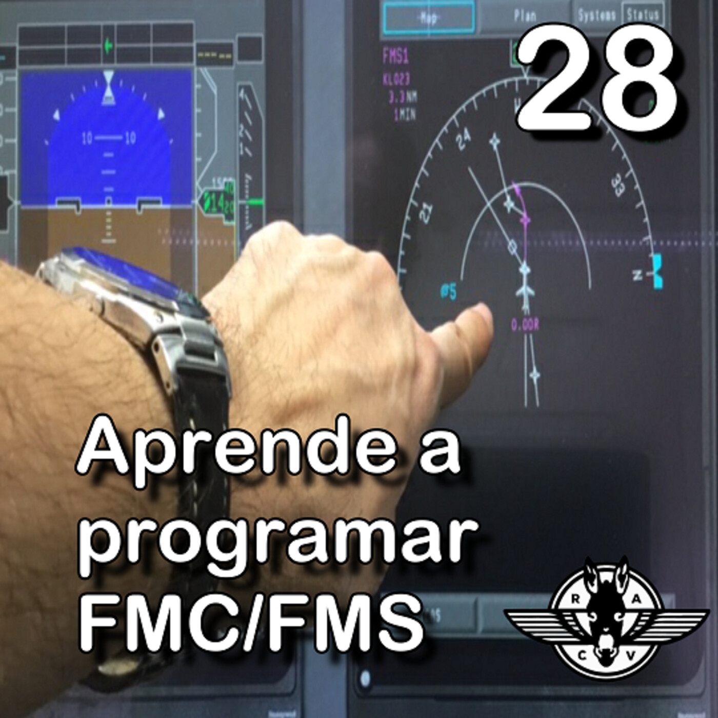 Aviación RACV