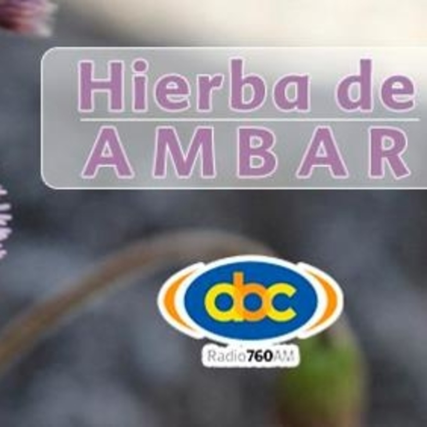 El Ángel de tu Salud - HIERBA DEL ÁMBAR episode artwork