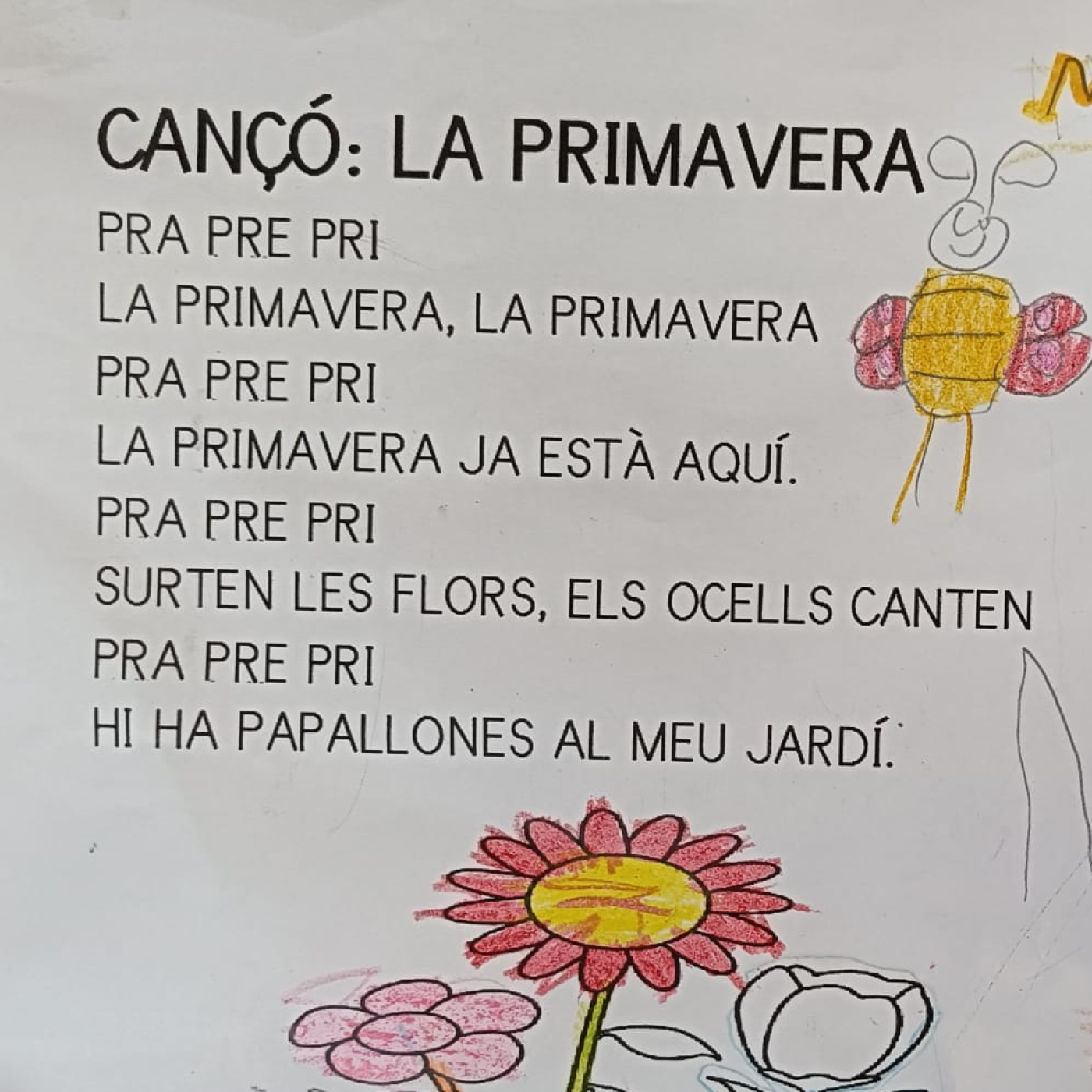 Tania Ribera Pérez