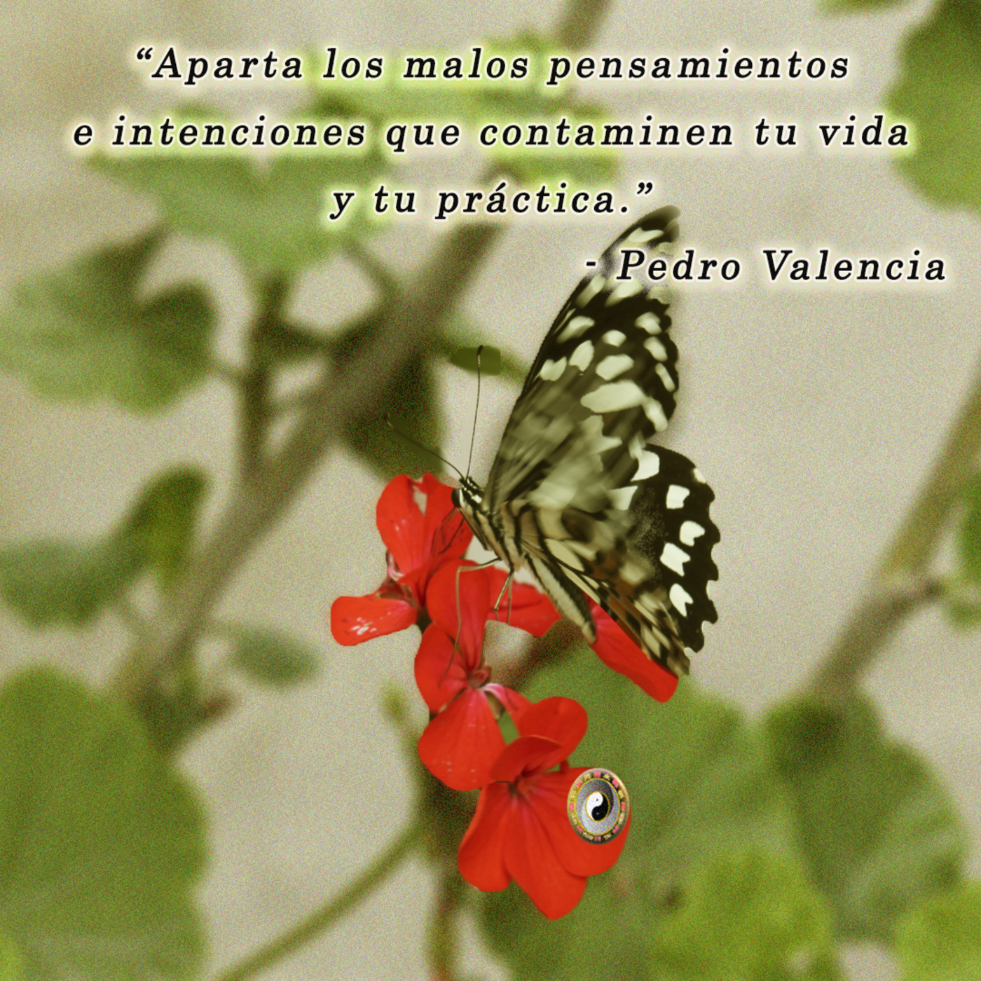 Meditación y Reflexión con Pedro Valencia