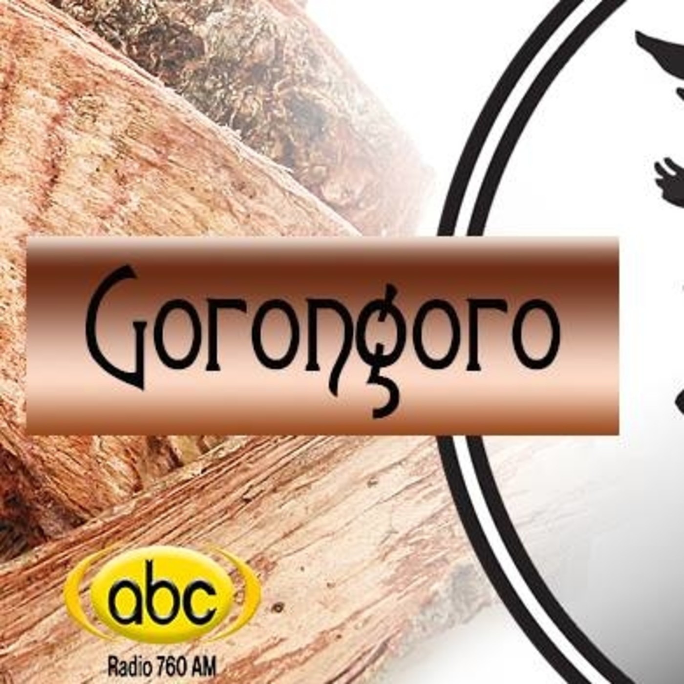 El Ángel de tu Salud - GORONGORO CORTEZA episode artwork