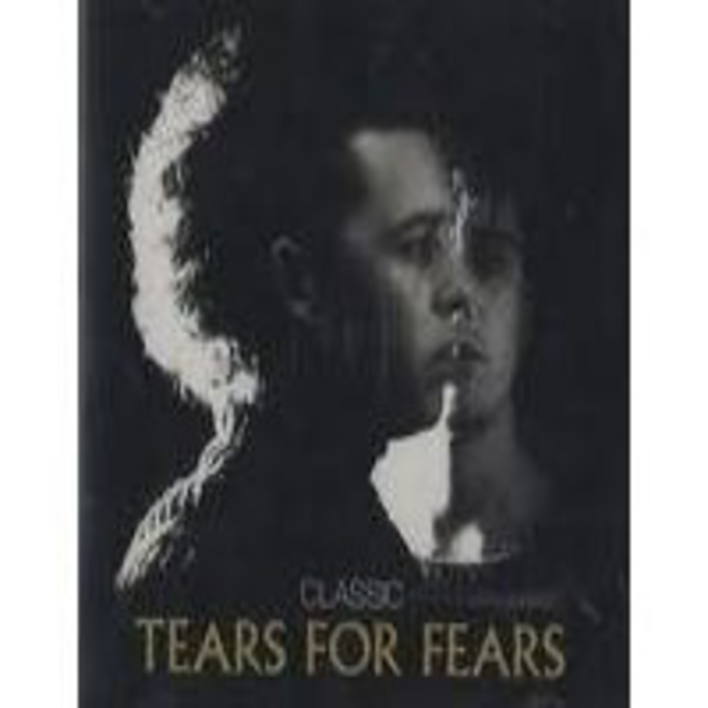 Tears for Fears, "Hold me now"