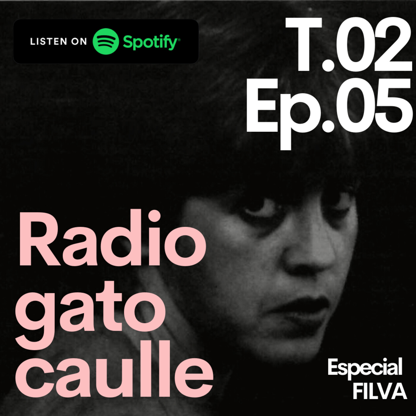 Radio gato Caulle: Temporada 1 y 2