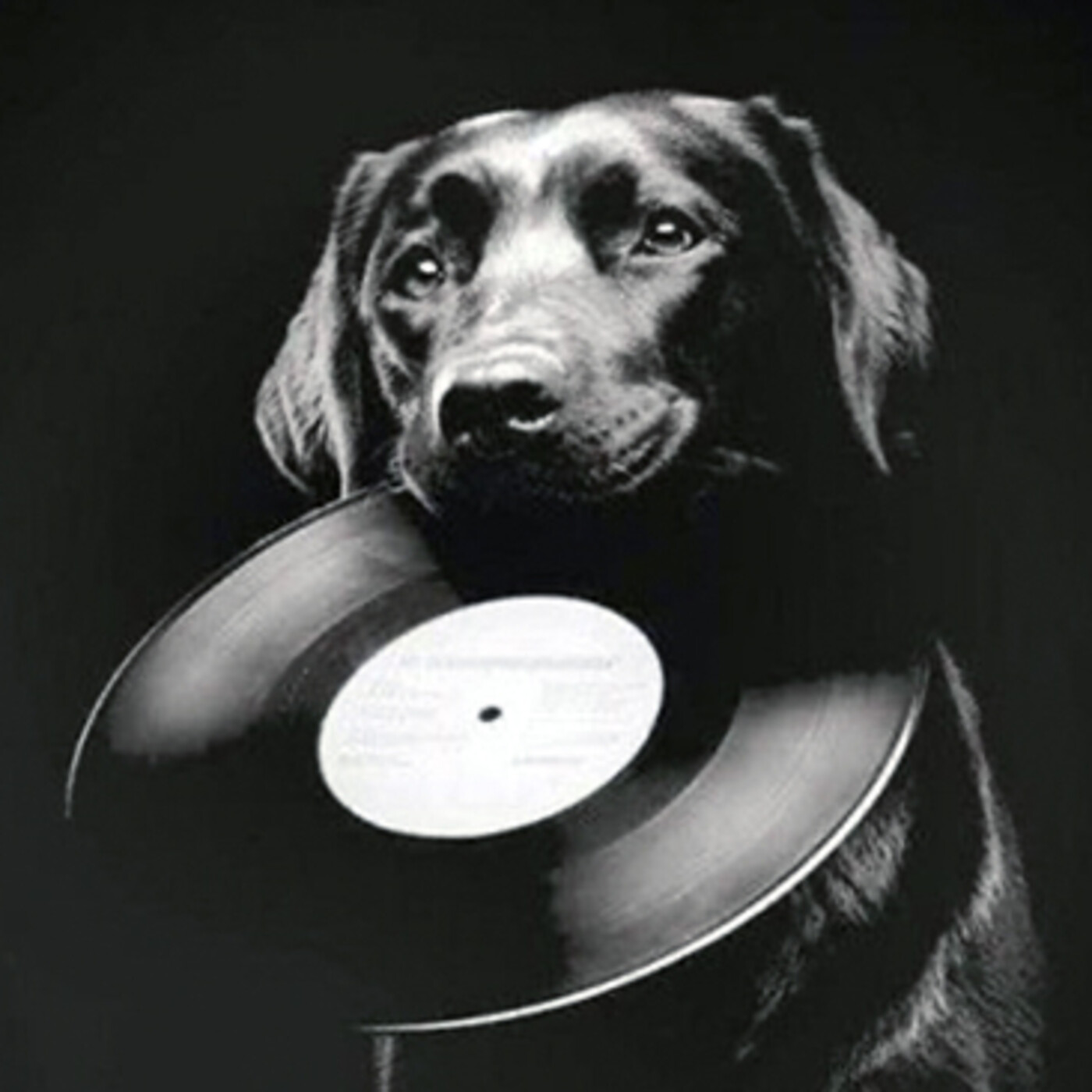Música Oskura. 31 episode artwork