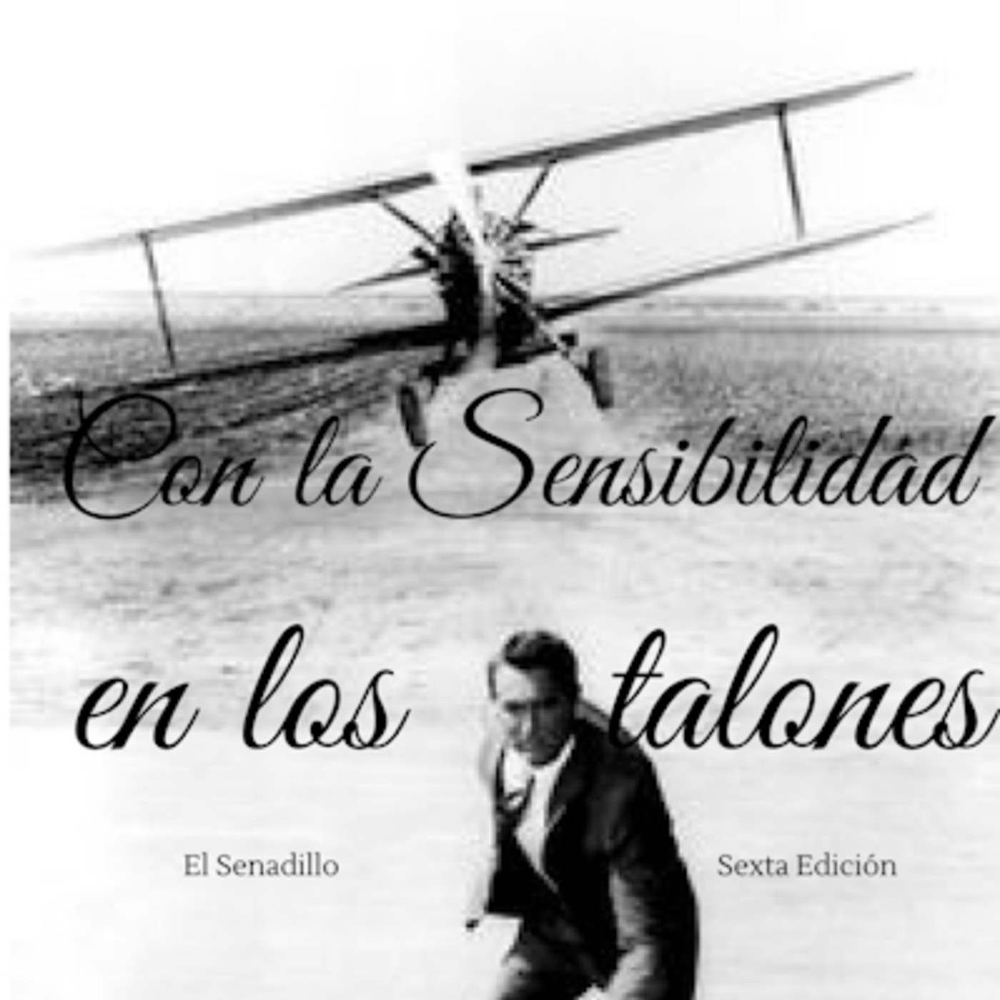 El Senadillo
