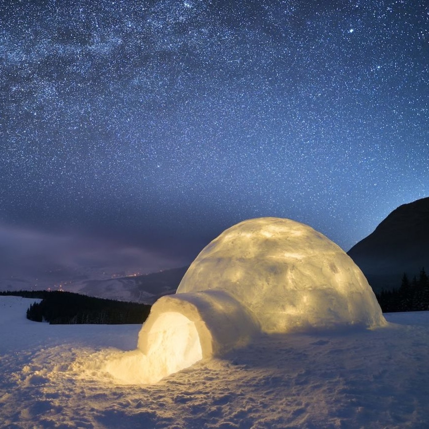 EL IGLOO DE GOBI