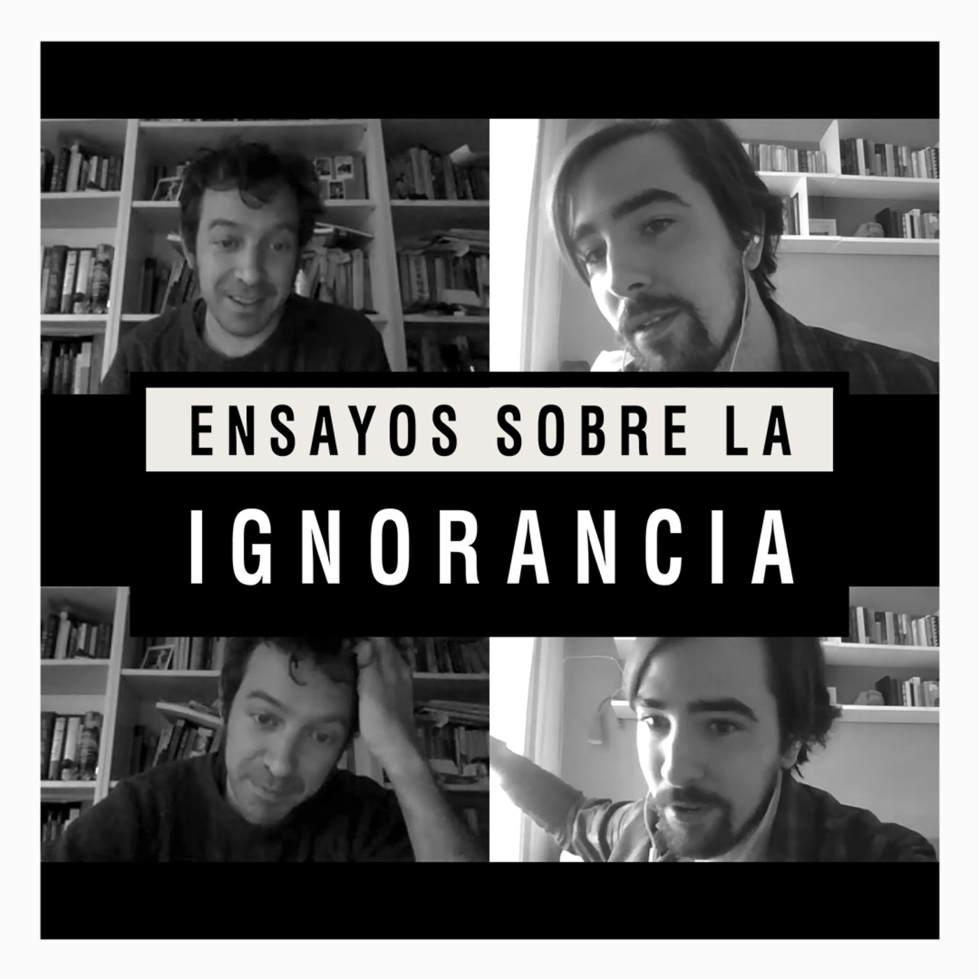 Ensayos sobre la ignorancia