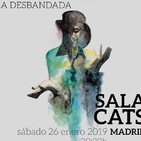 Kike Babas : Directo en la sala Cats