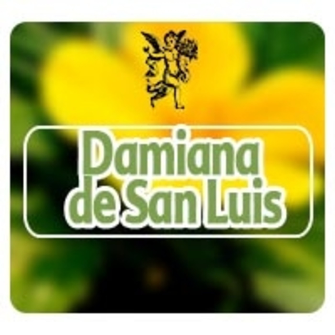 El Angel de tu Salud - DAMIANA DE SAN LUIS episode artwork
