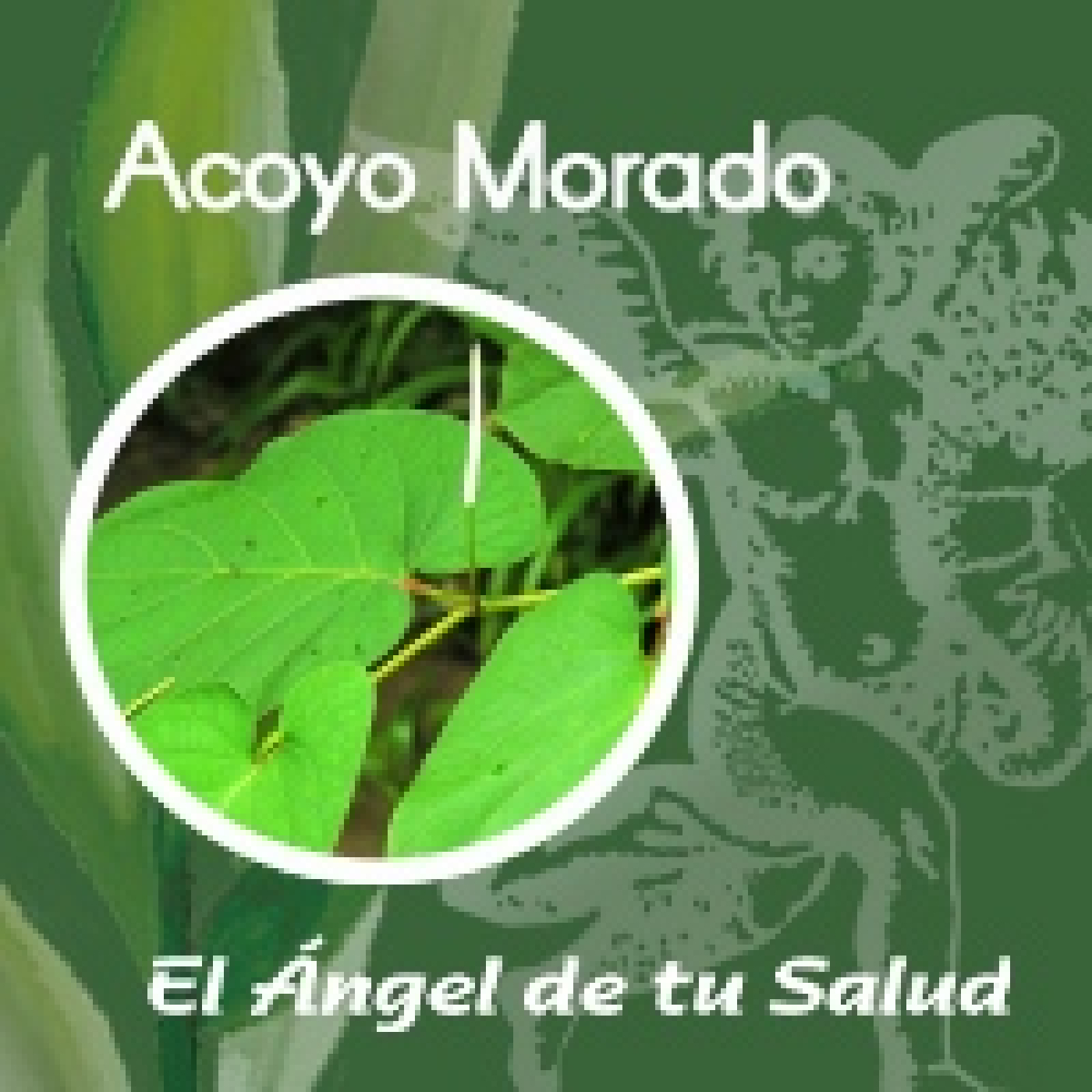 El Ángel de tu Salud - Acoyo Morado** episode artwork