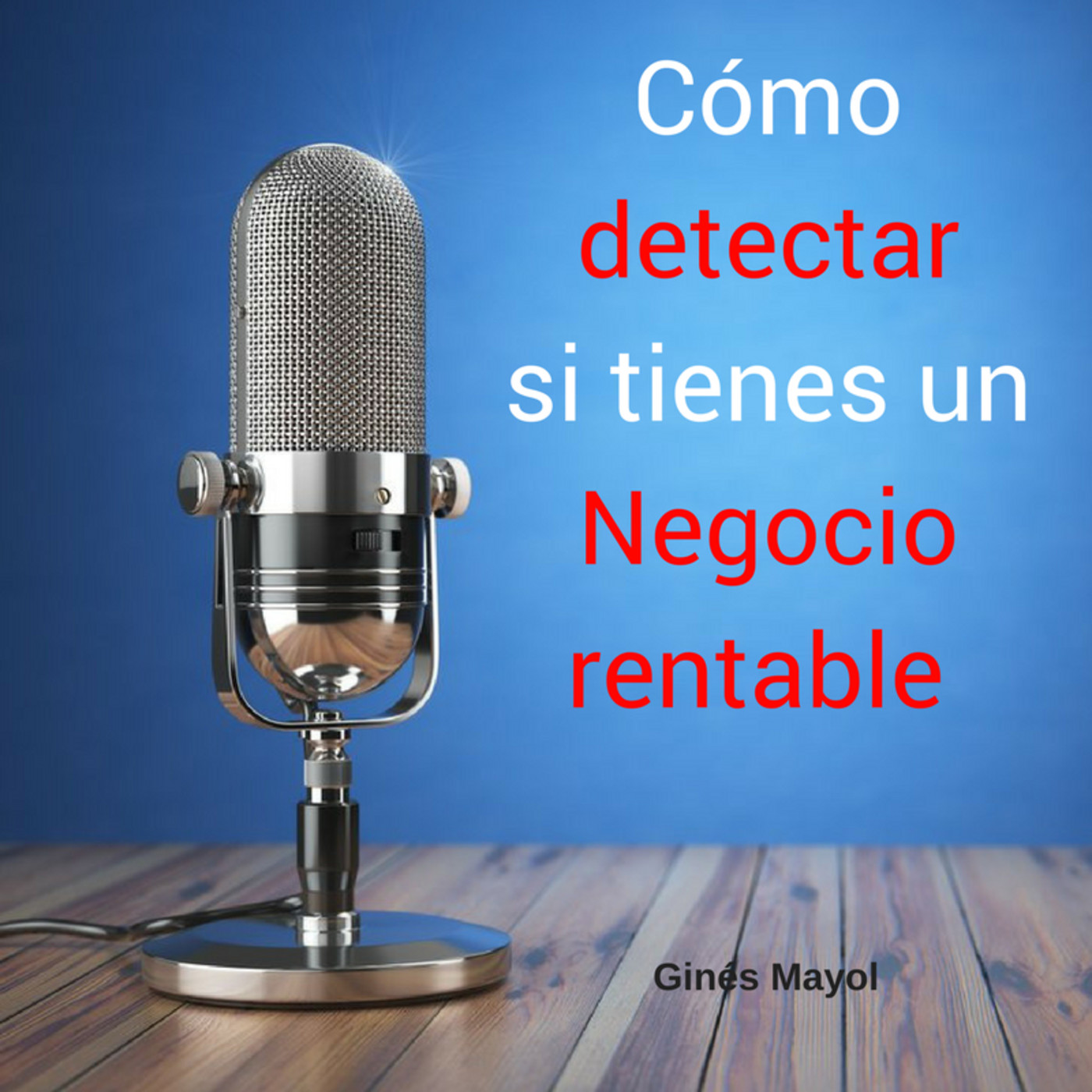 Gines Mayol - SEO