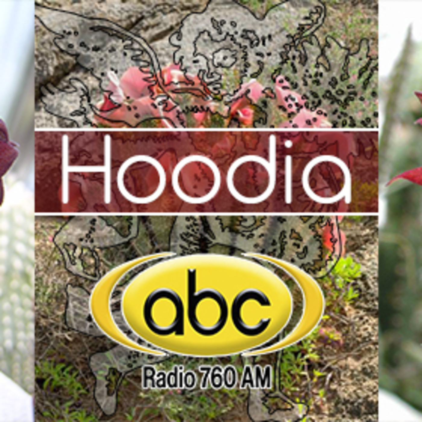 El Ángel de tu Salud -HOODIA episode artwork