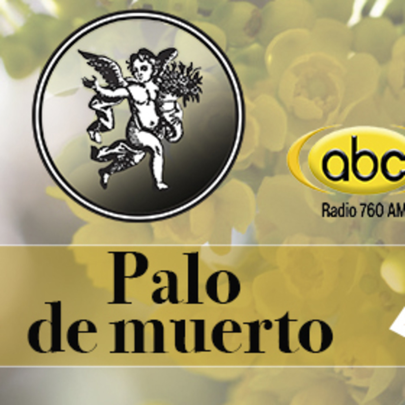 El Ángel de tu Salud - PALO DE MUERTO episode artwork
