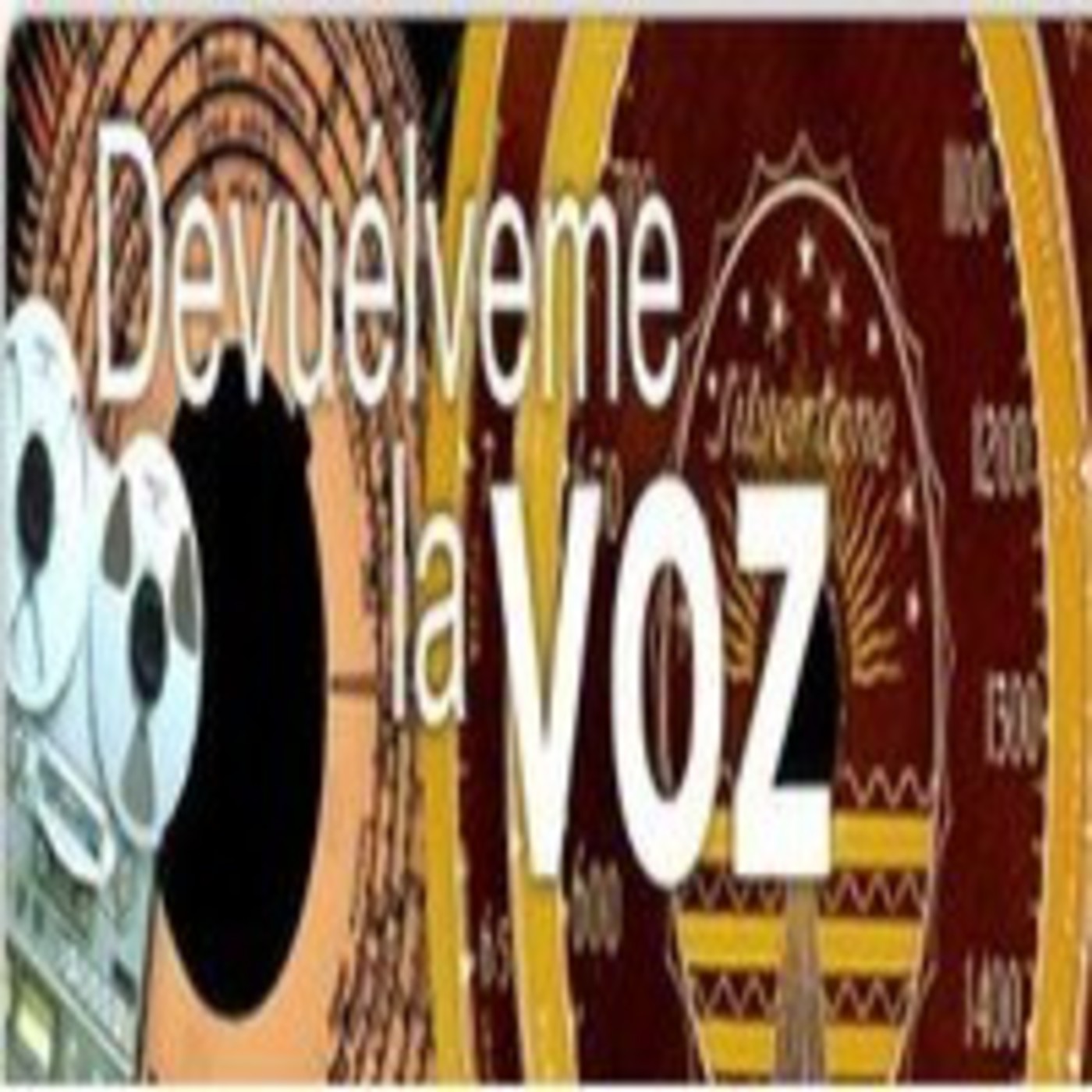Devuélveme la voz. Contenidos