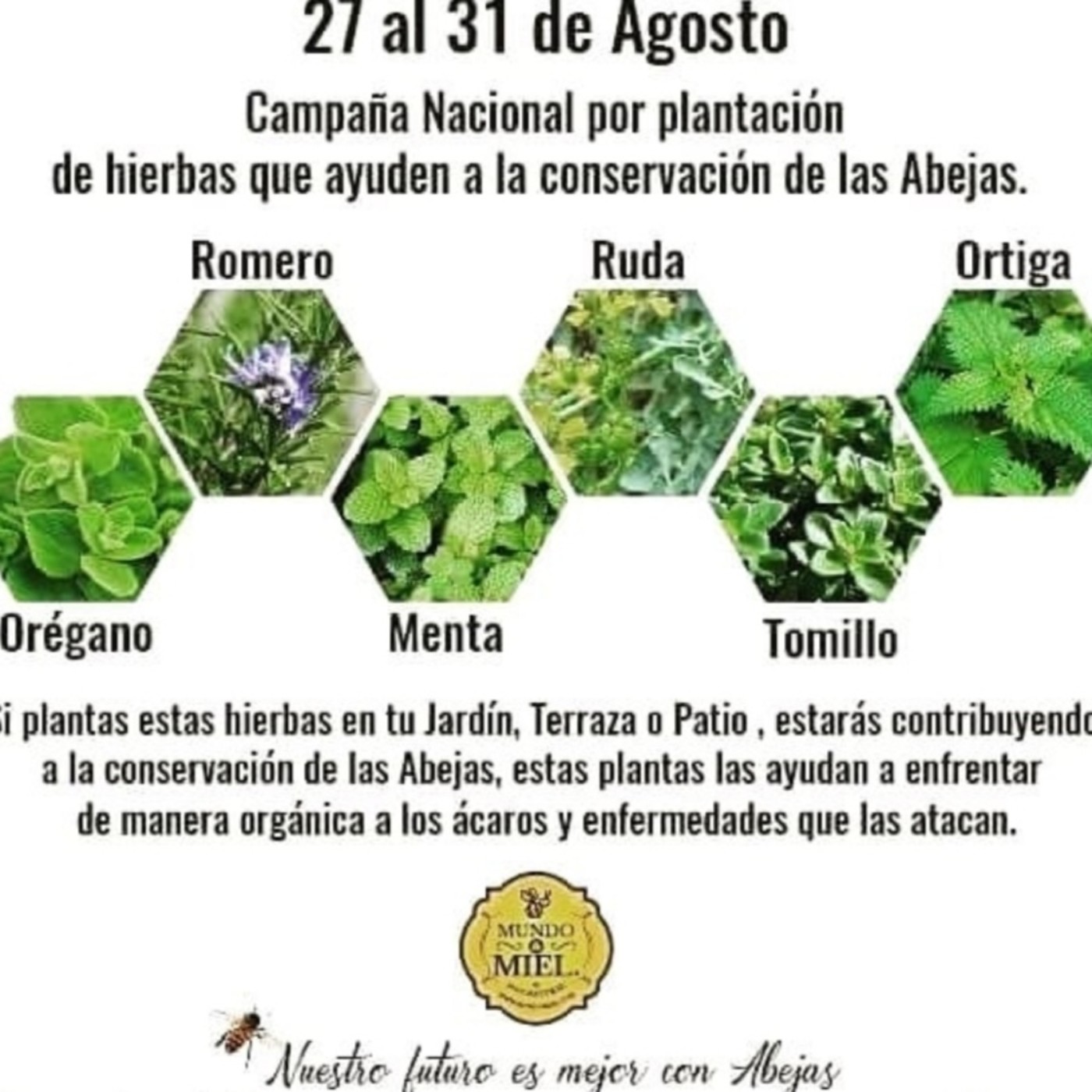 FECHAS ESPECIALES
