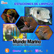 Estaciones de limpiezas