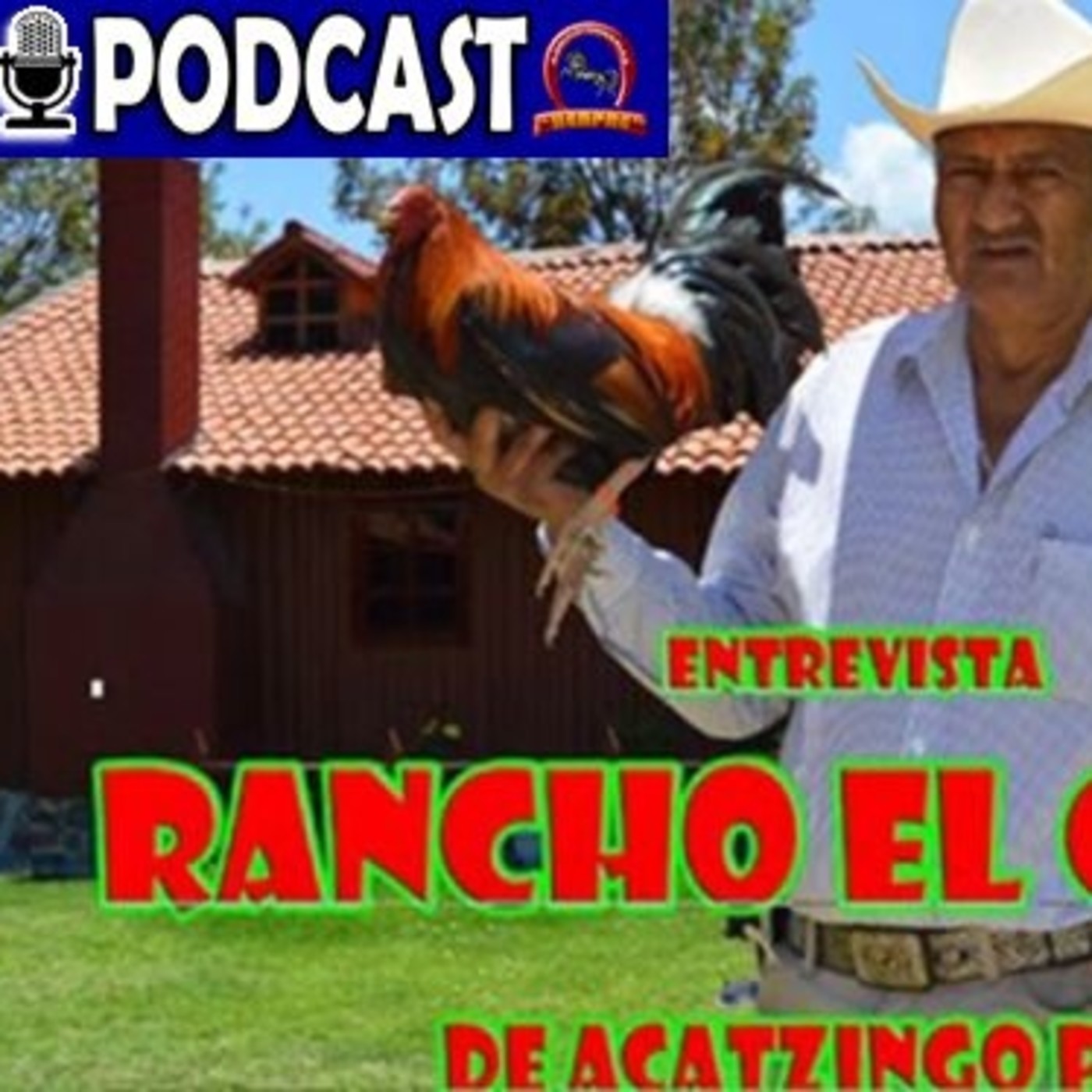 Pasión Gallera
