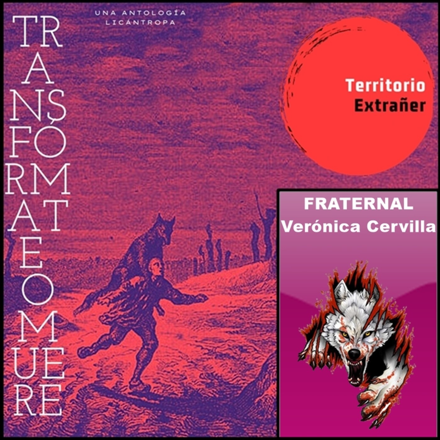 Territorio Extrañer