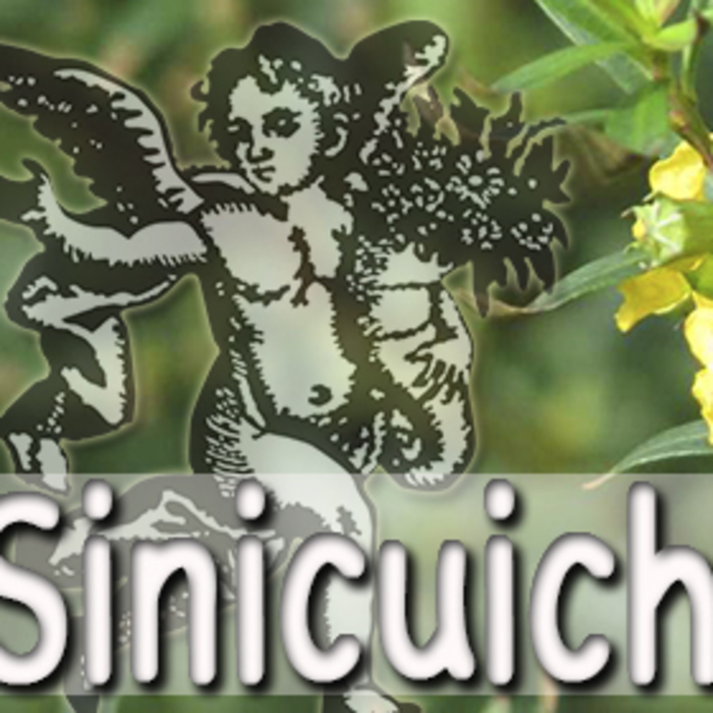 El Ángel de tu Salud - SINICUICHE episode artwork