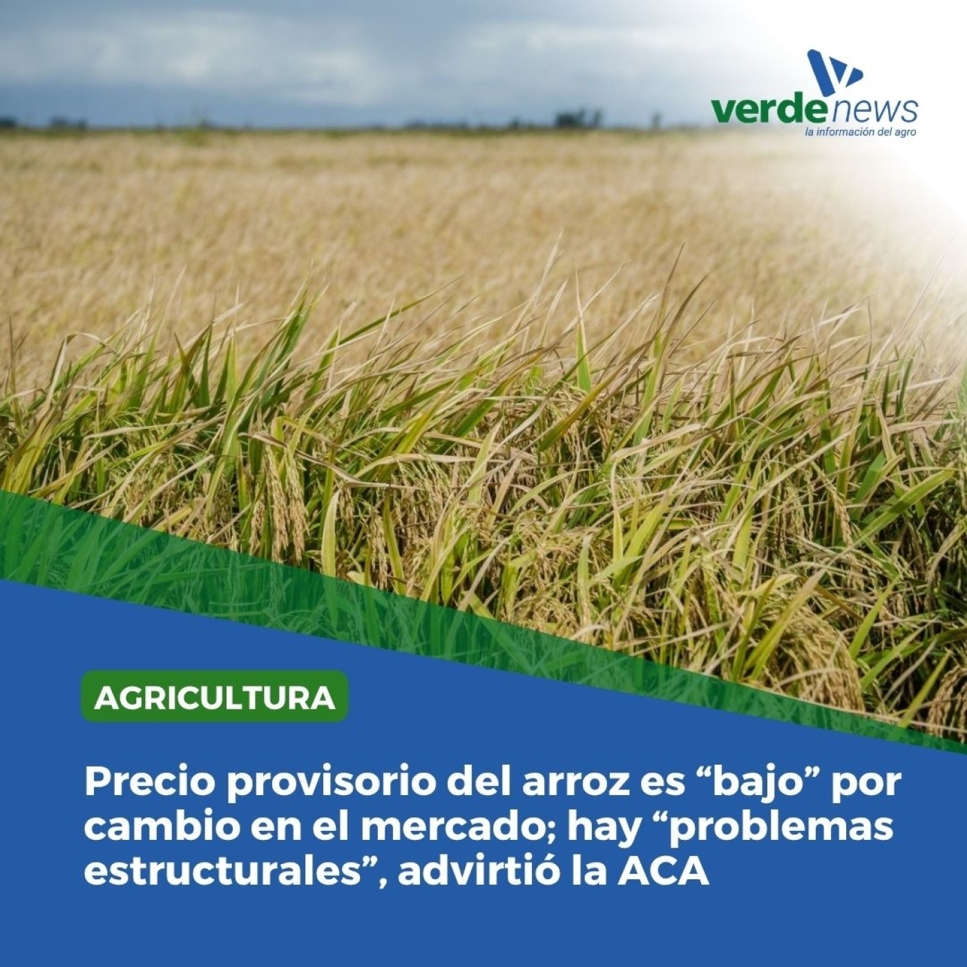 Guillermo O'Brien - presidente de la Asociación de Cultivadores de Arroz - 20/06/25 episode artwork