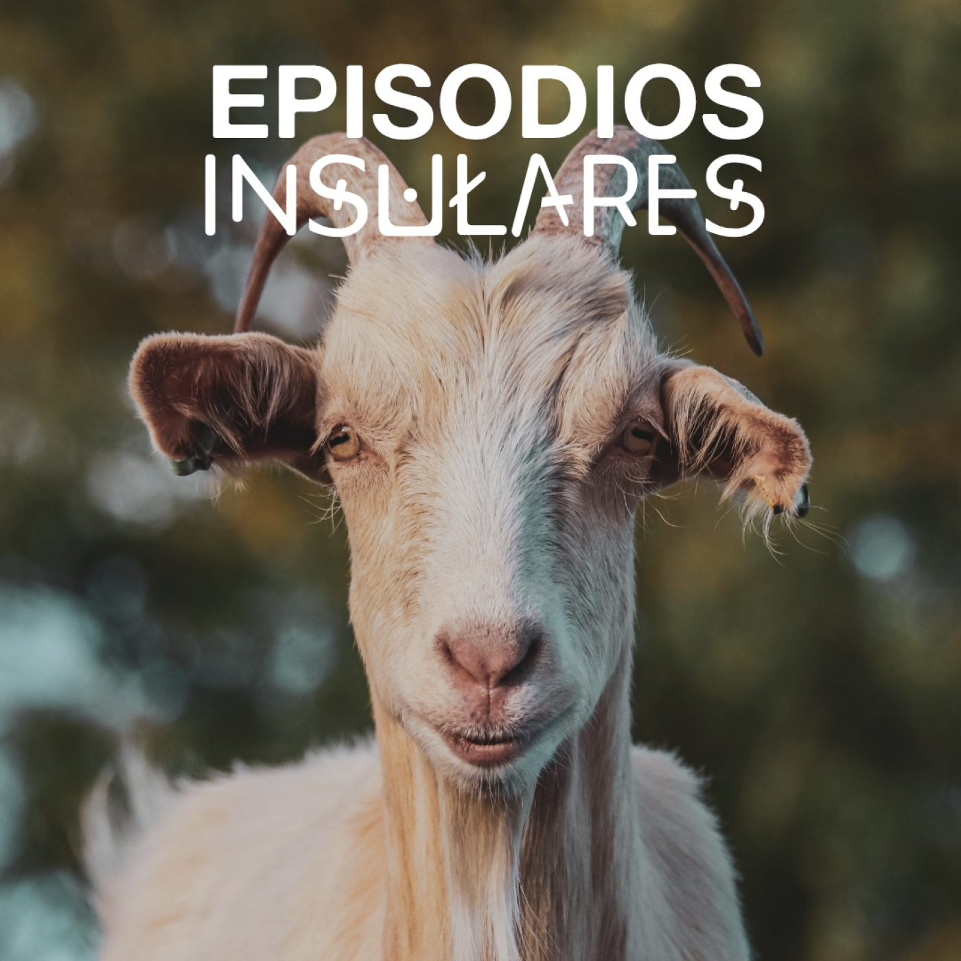 Tras las huellas de los animales episode artwork