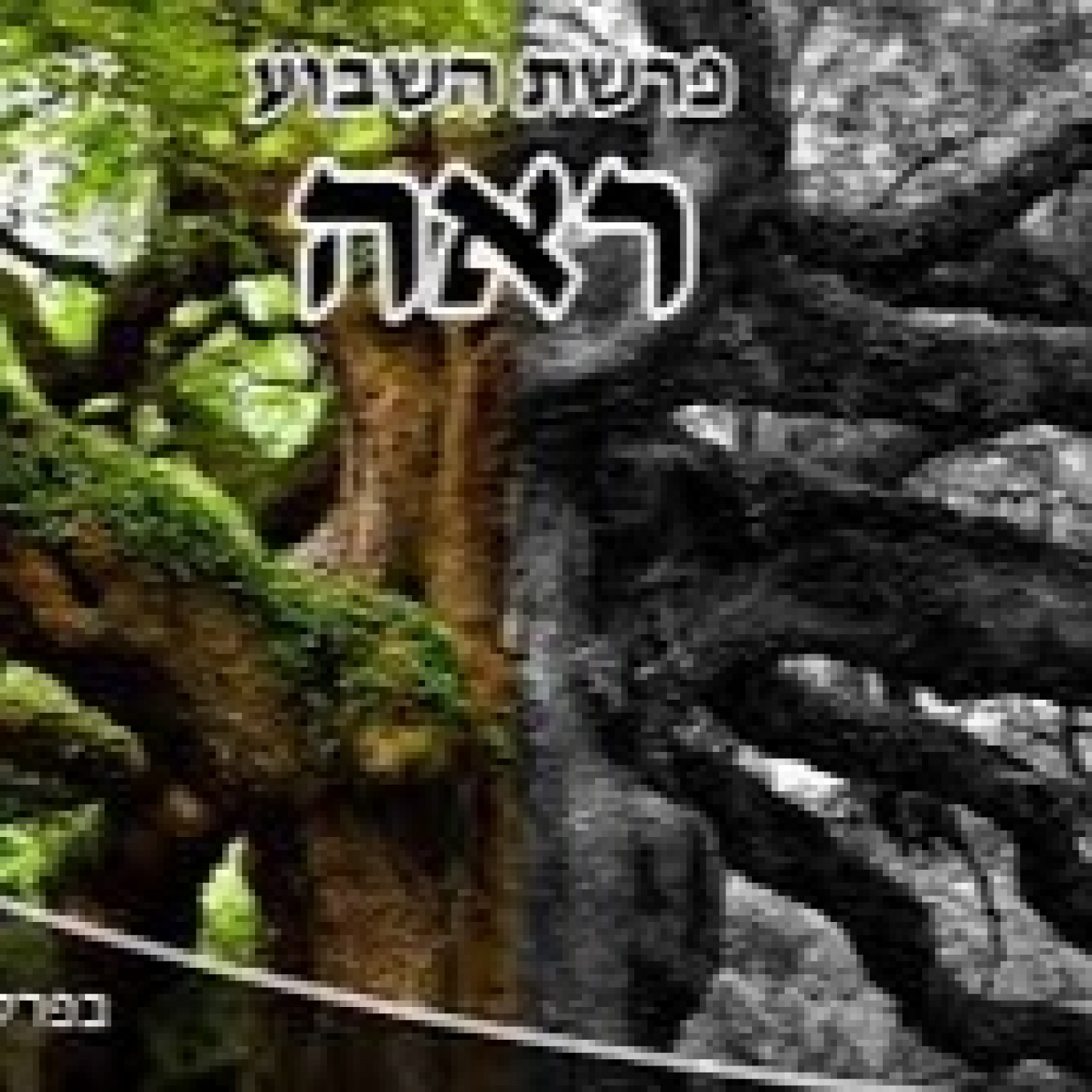 Parashat: Ree II (5782)