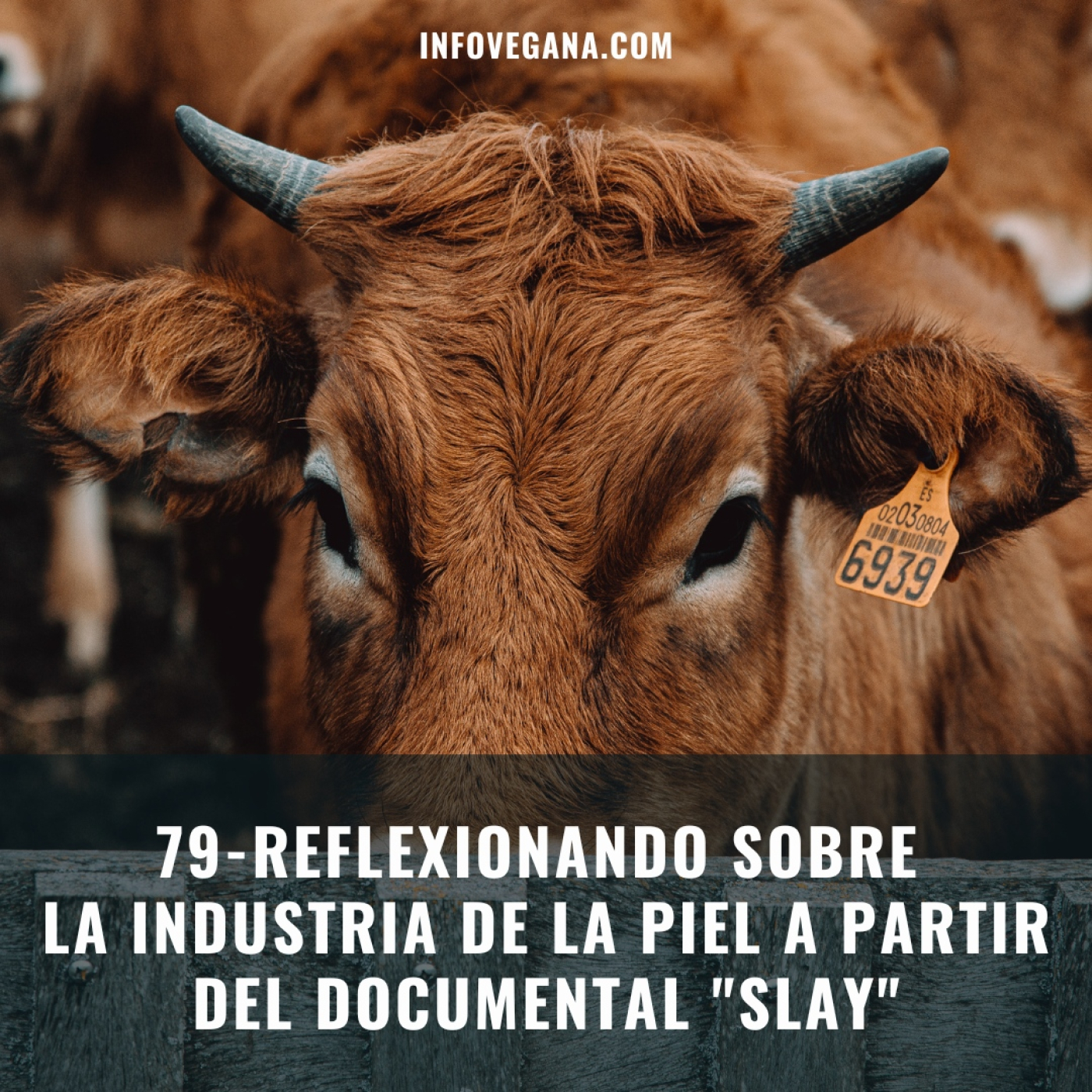 Infovegana, podcast de veganismo y sostenibilidad