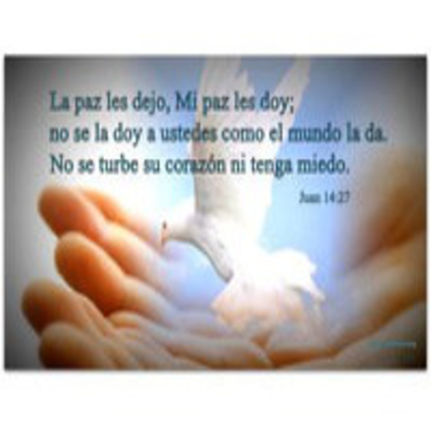 Lecturas del VI Domingo de Pascua C