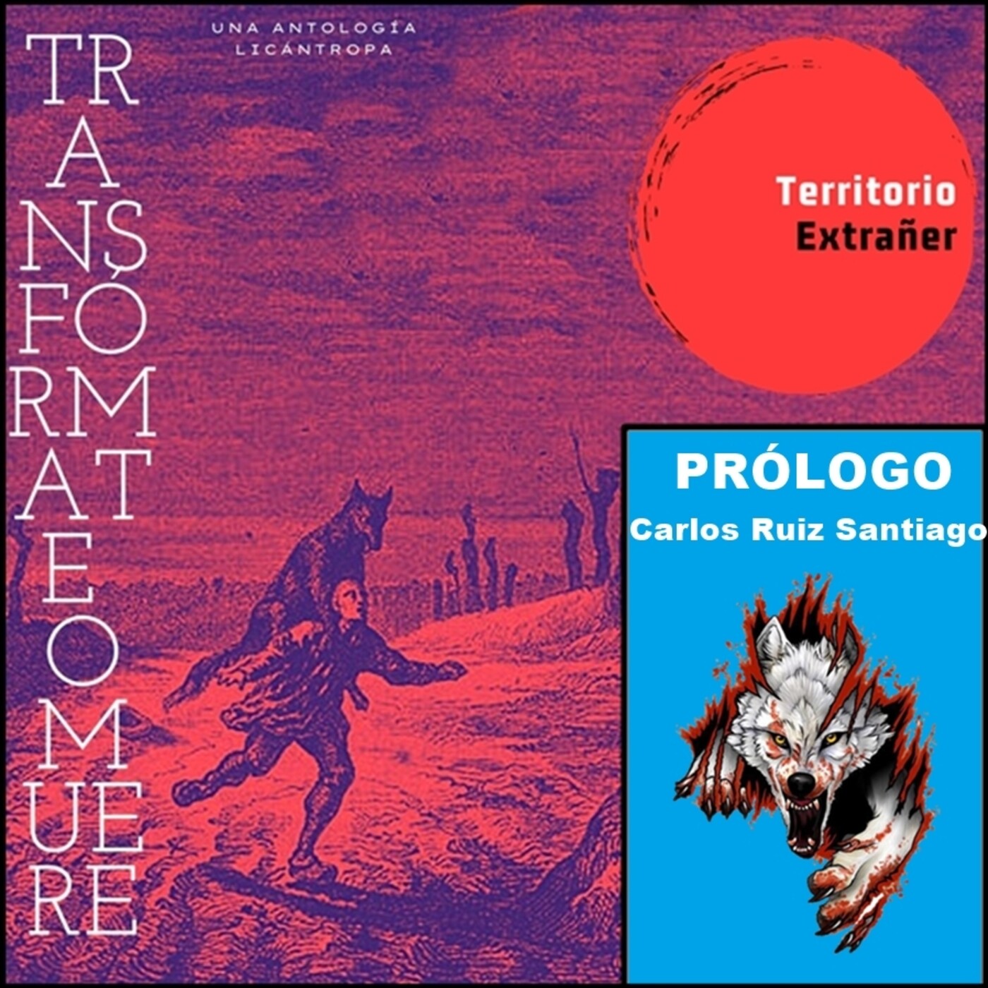Territorio Extrañer