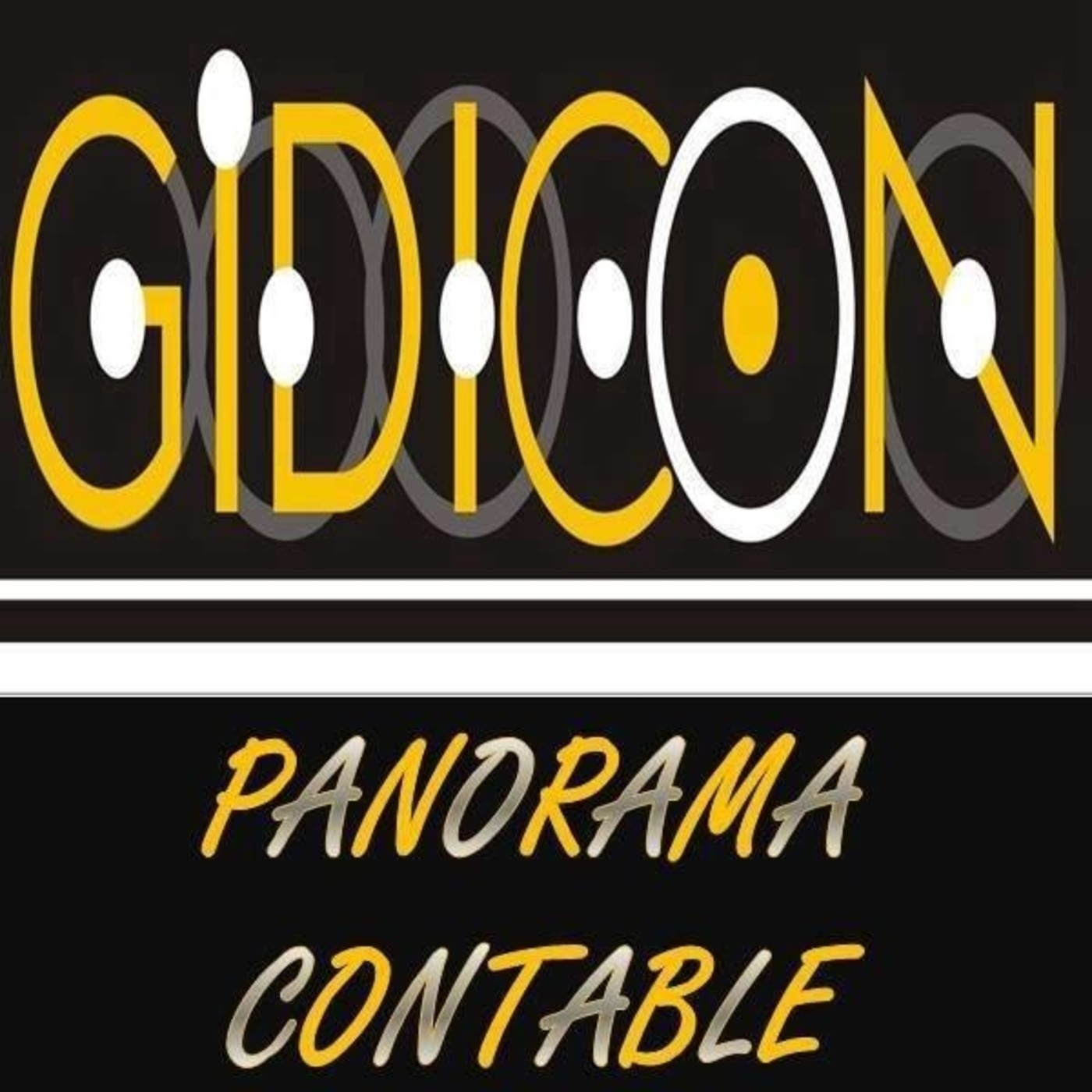 Panorama Contable