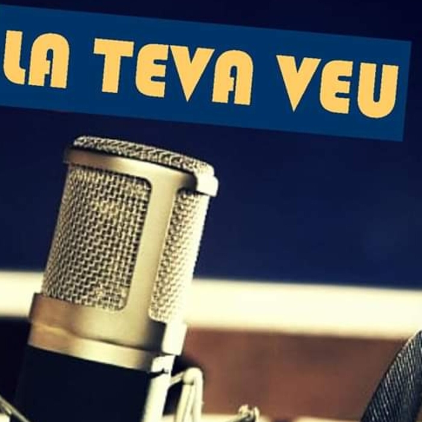 La teva veu