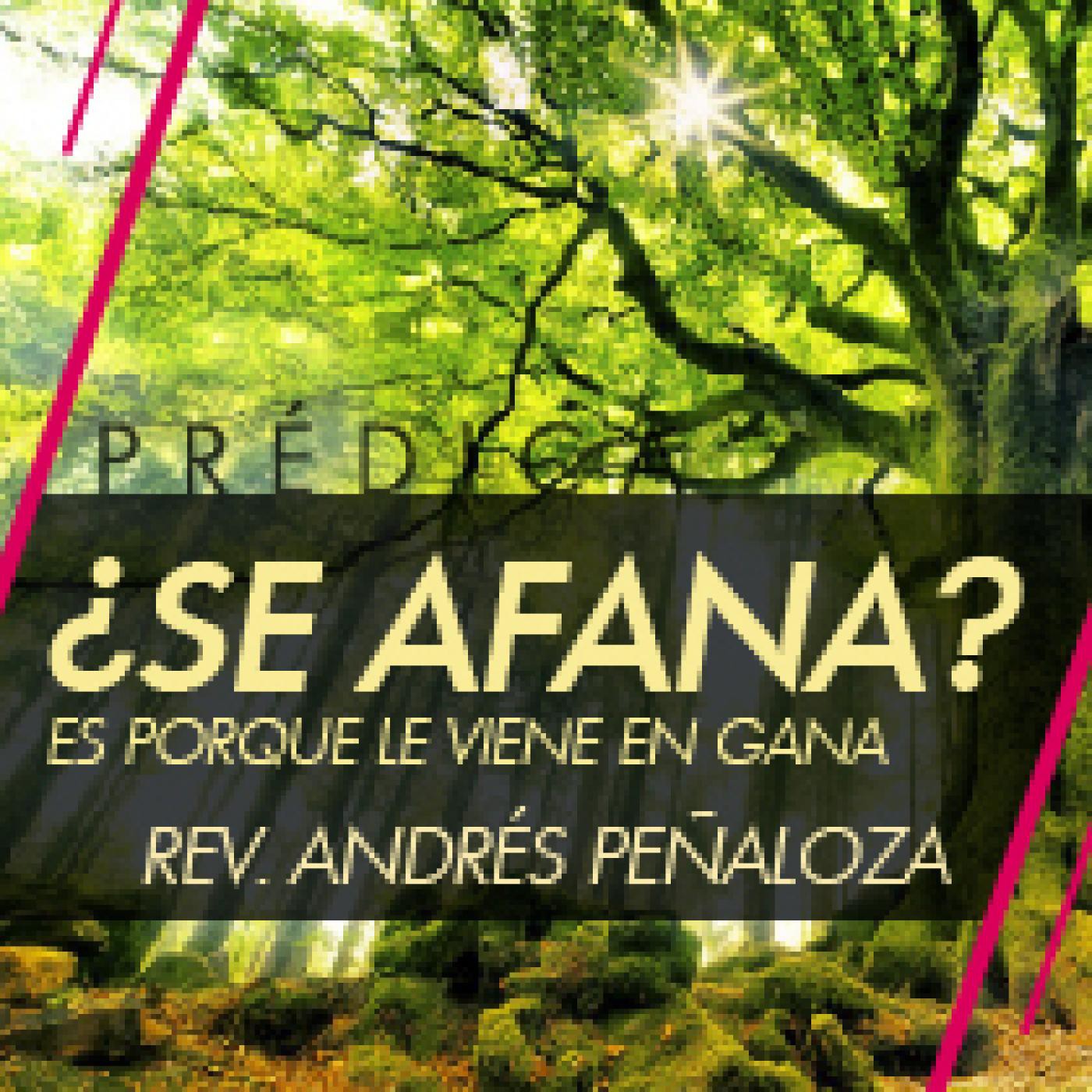 ¿Se afana? es porque le viene en gana. episode artwork