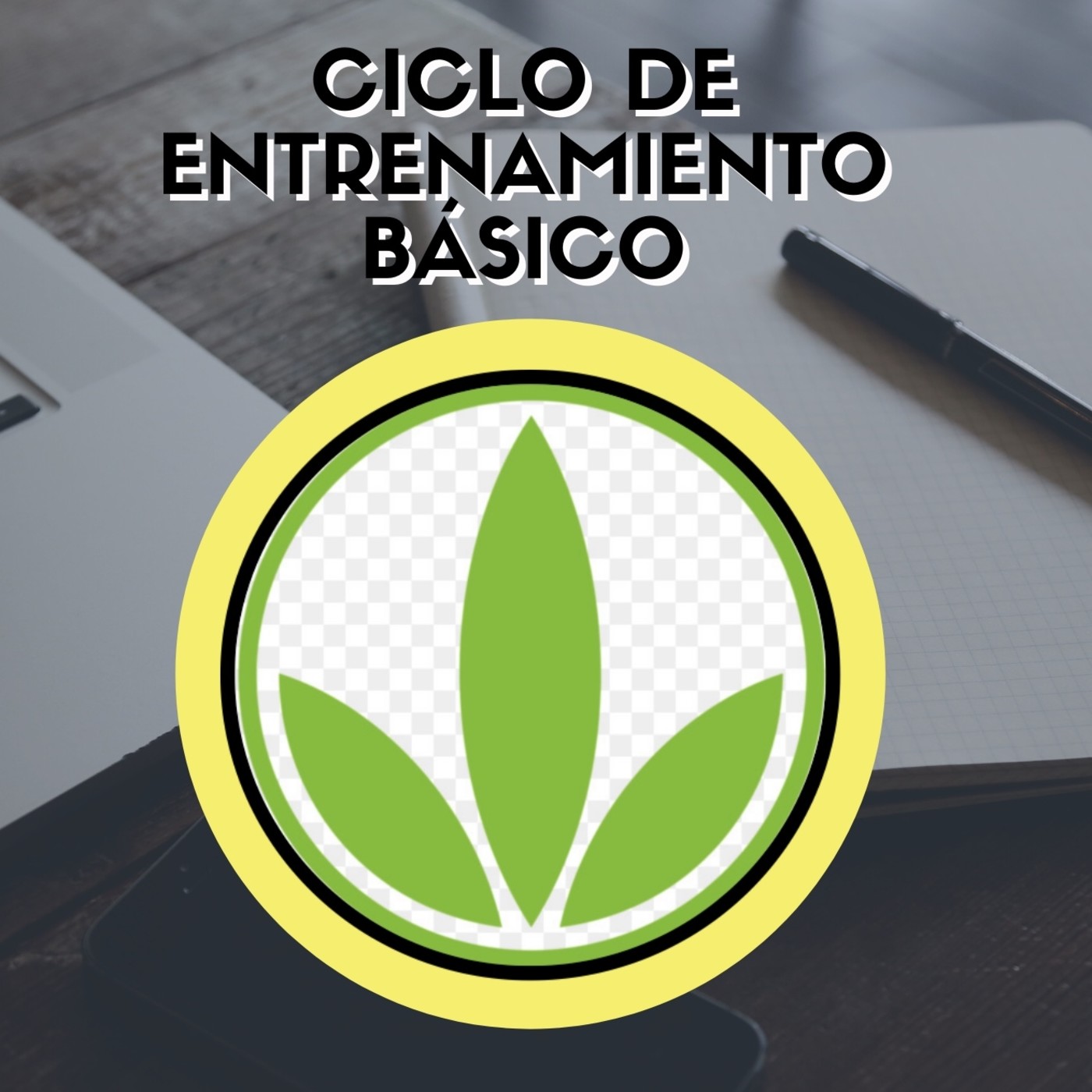 HBL DE LOS PROFESIONALES