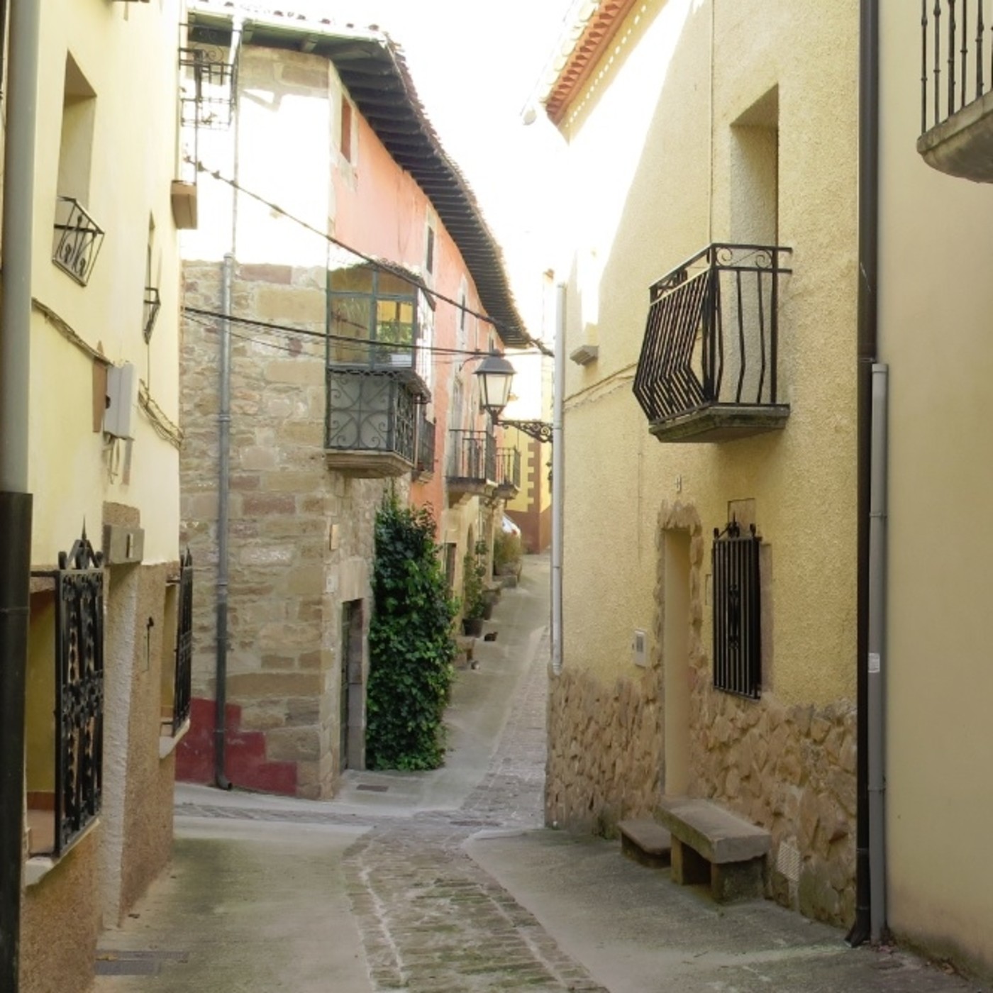 Estella Noticias