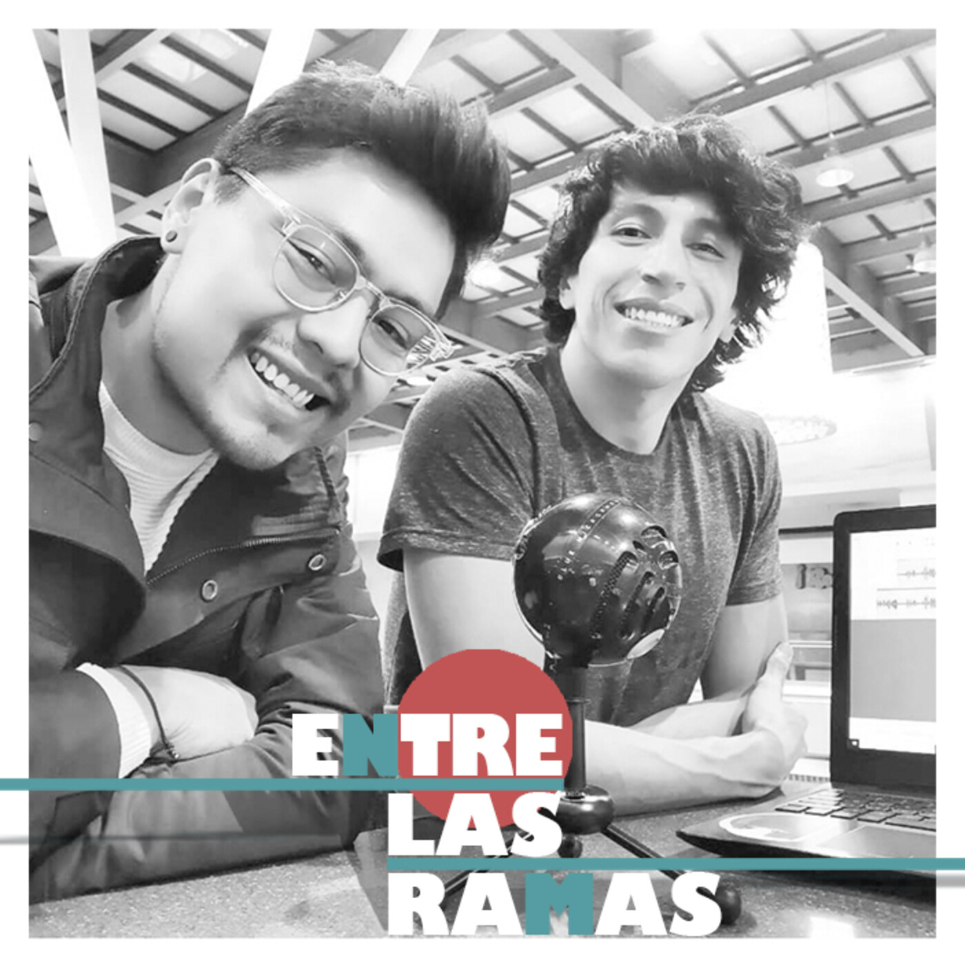 Entre las ramas