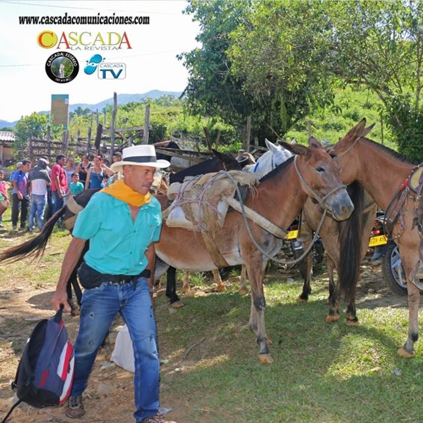 Cascada Comunicaciones