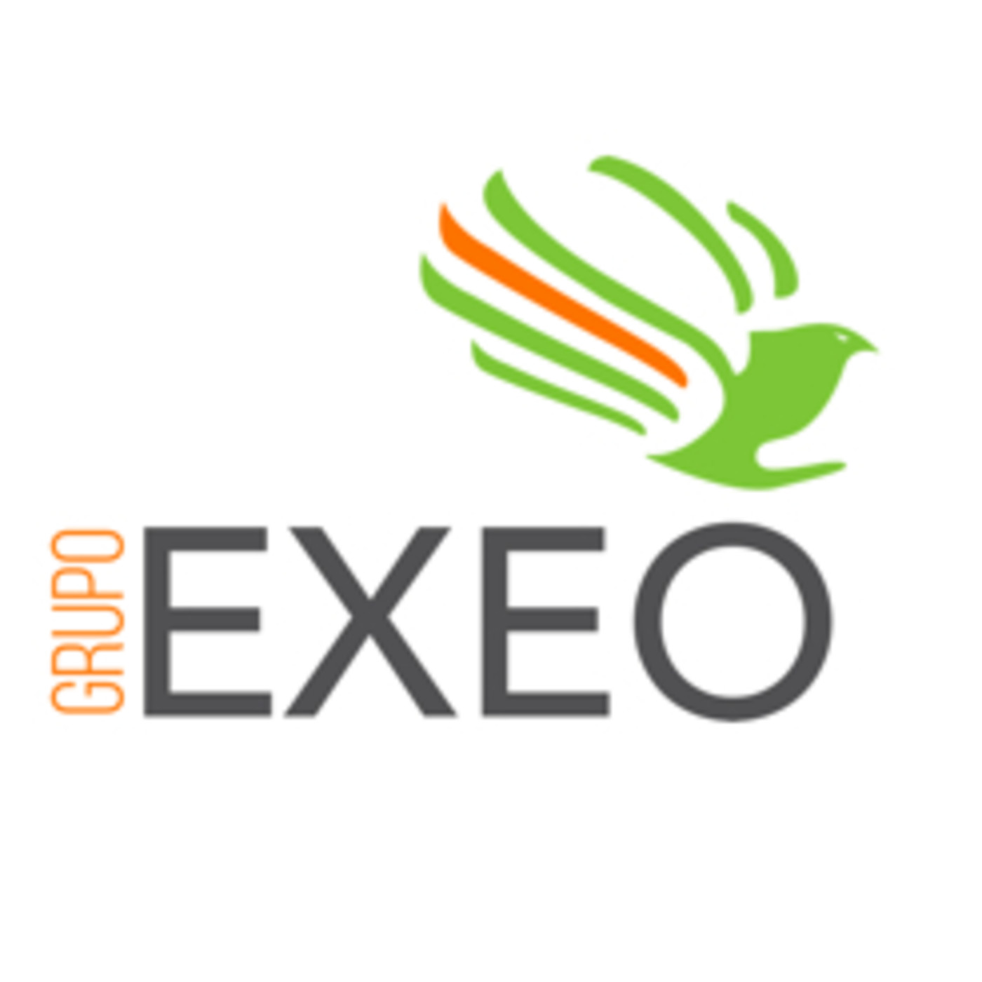 GRUPO EXEO