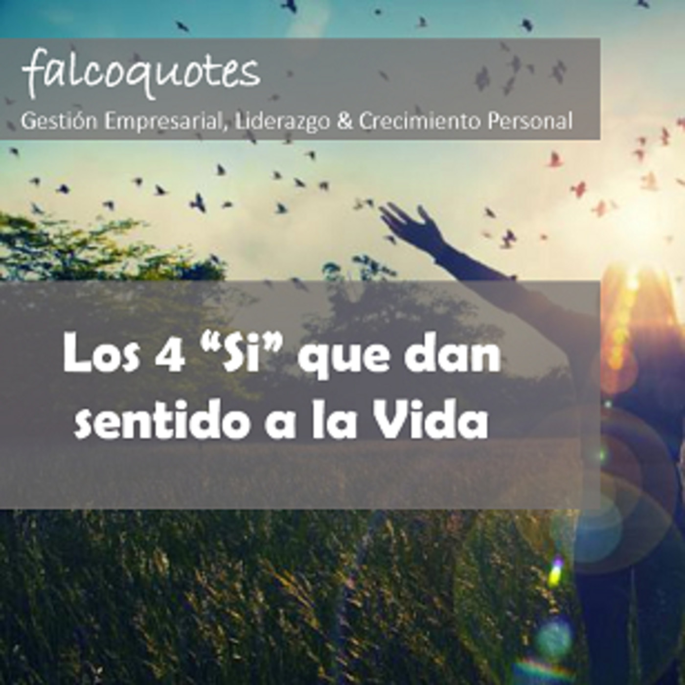 Los 4 "Si" que le dan sentido a la vida