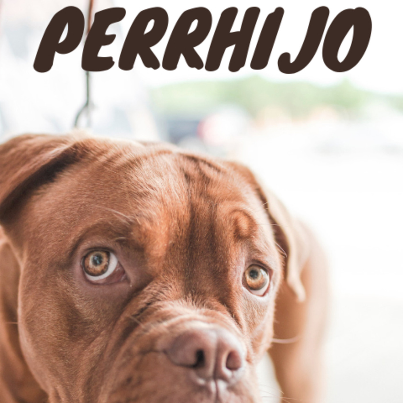 Perrhijos