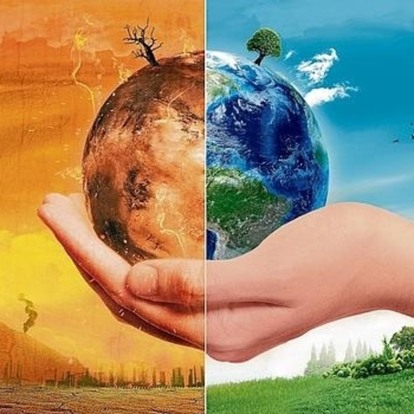 Mesa redonda Cambio Climático