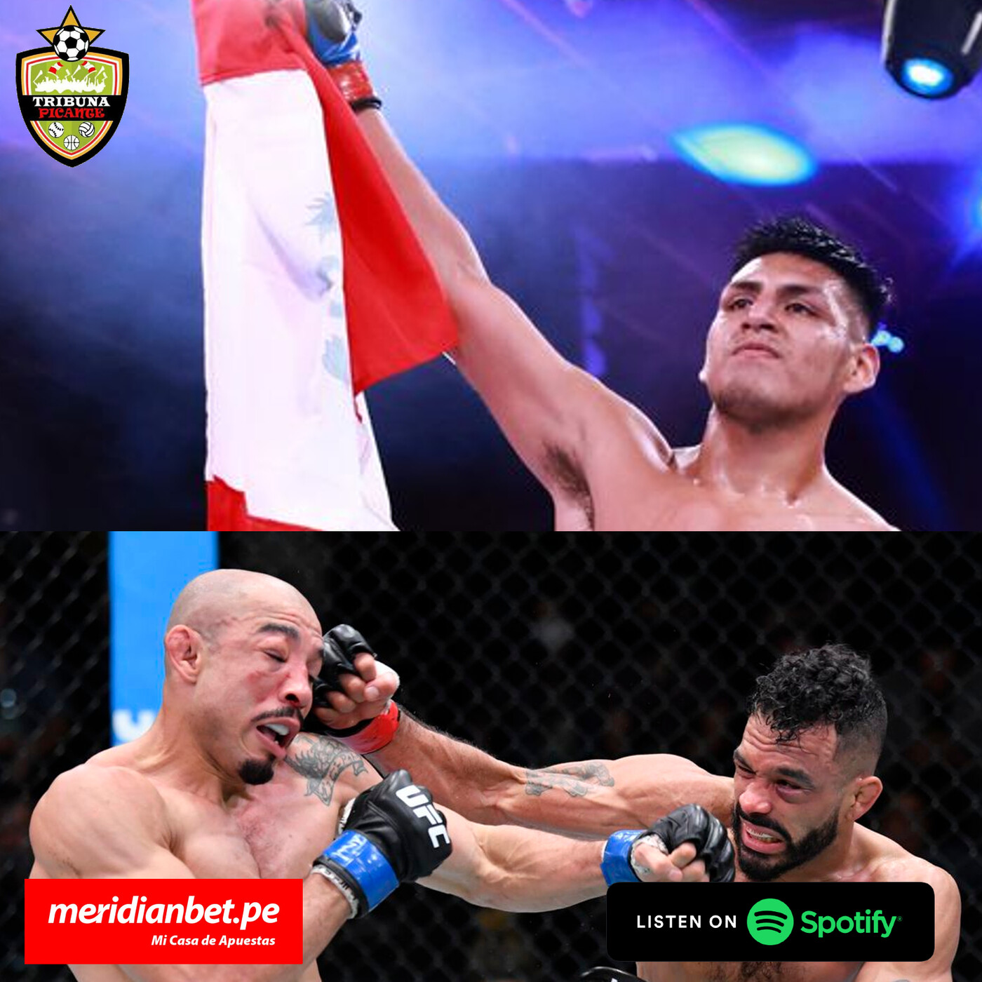 Podcast - Análisis del FFC 48 y UFC FIGHT NIGHT Aldo vs Font episode artwork