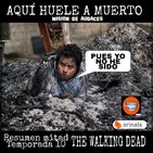 102 - AHAM . Resumen mitad de temporada 10 The Walking Dead