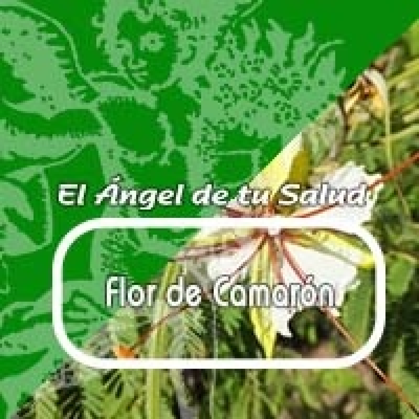 El Angel de tu Salud - FLORDE CAMARÓN episode artwork