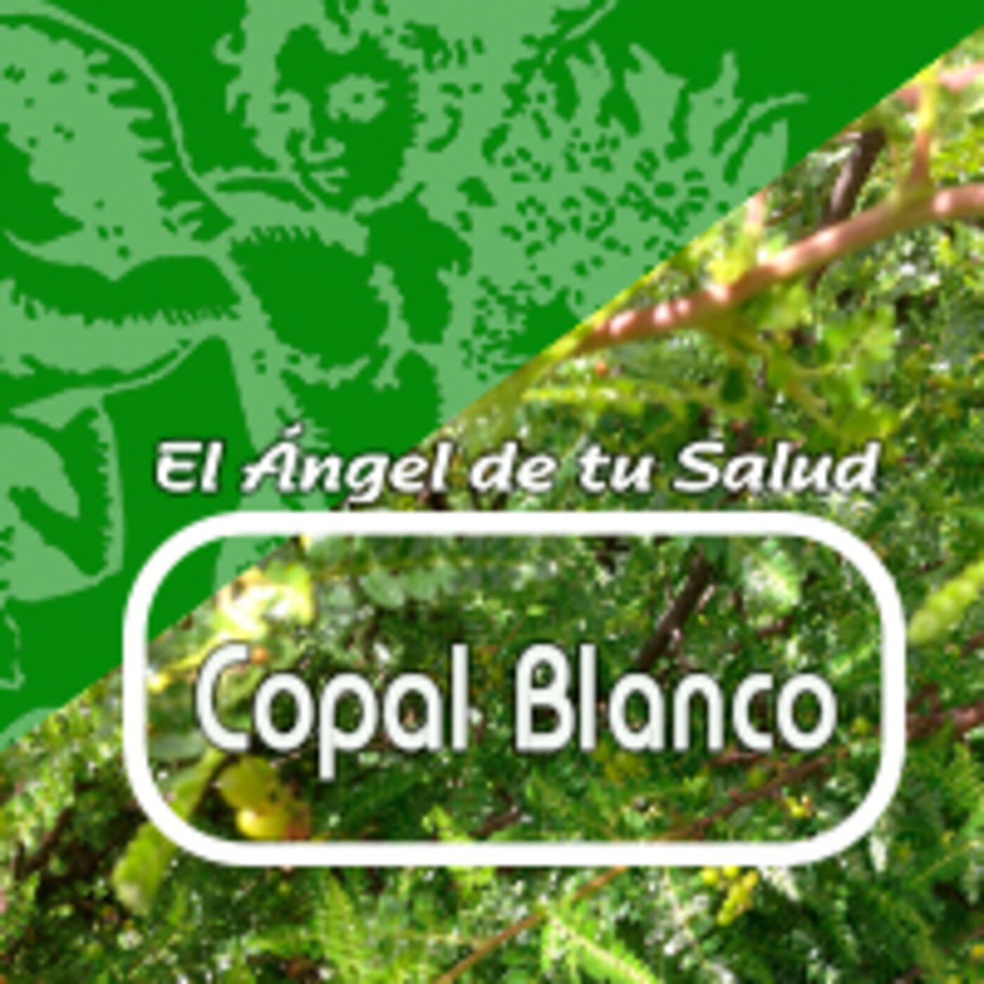 El Ángel de tu Salud - COPAL BLANCO episode artwork
