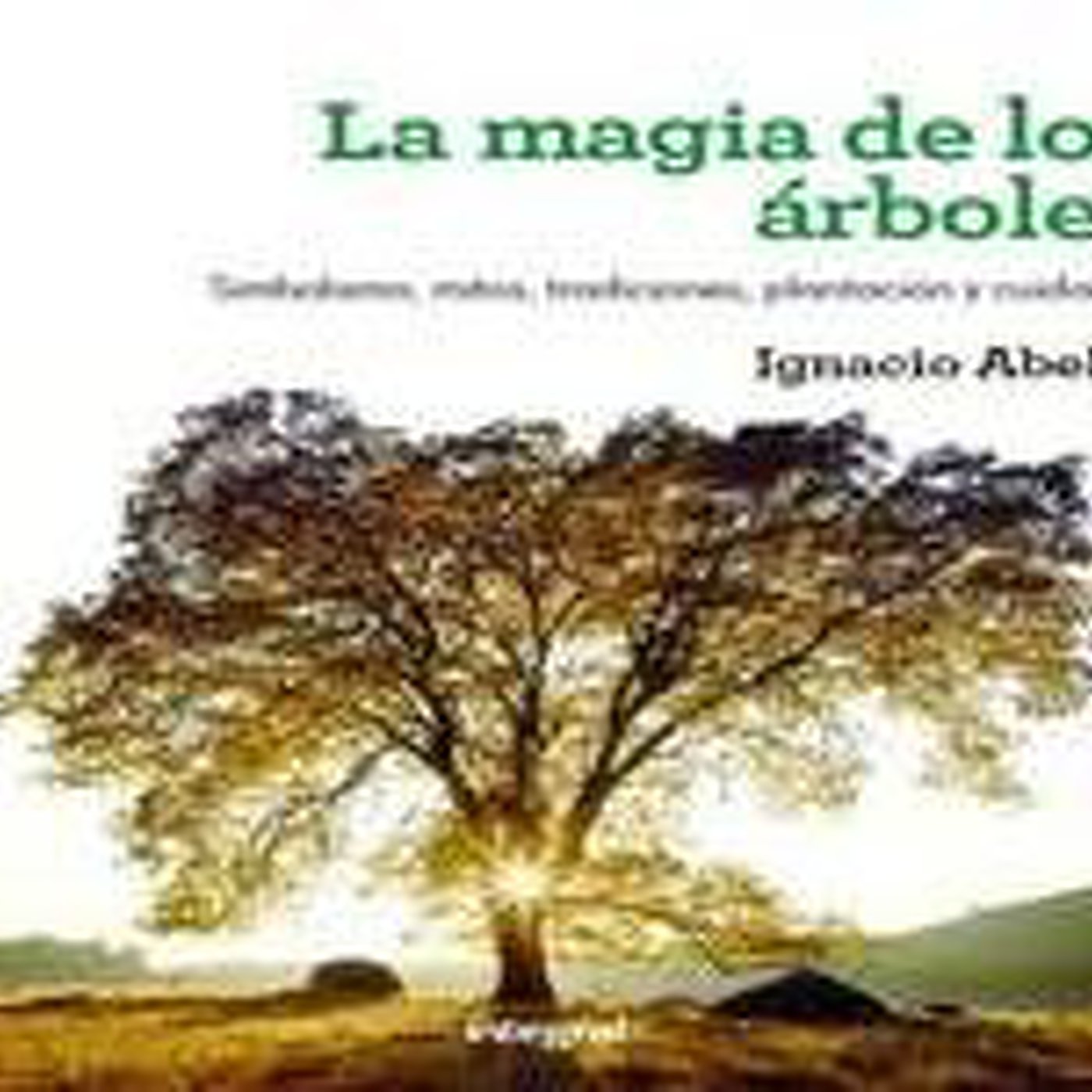 ¡Estítate! ¡Coge un libro! 13/14