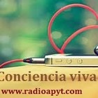 El organo del bazo y sus emociones/Murió mi hijo gemelo como vivir el duelo?/ Como puedo decidir y terminar mi relacion